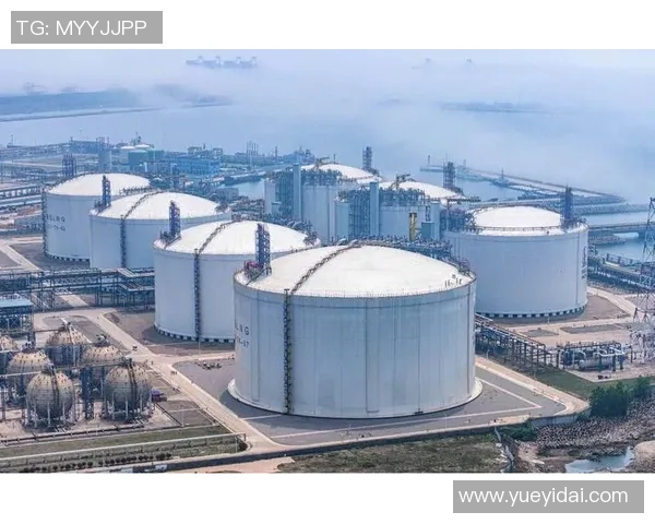 青年赛特别报道LNG技术创新与发展历程的全景回顾与展望