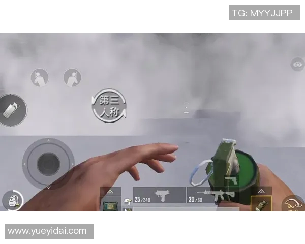 从零开始掌握和平精英技巧与策略全面指南助你成为游戏高手