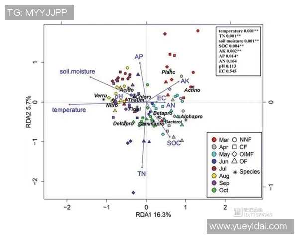 数据分析V5节奏表现的全面解读与应用探讨 数据分析V5节奏表现的全面解读与应用探讨