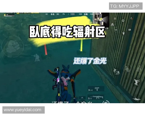 esports数据张芳揭秘和平精英游戏技巧与心得分享助你轻松上分